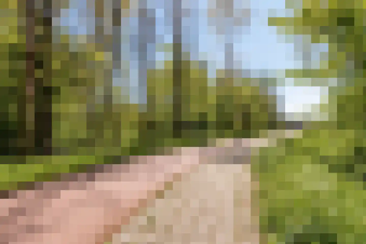Ladderbeekstraat 101 Velsen-Noord thumbnail 43