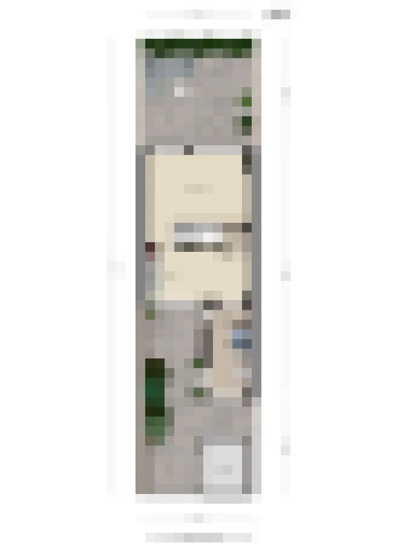 Ladderbeekstraat 101 Velsen-Noord thumbnail 46