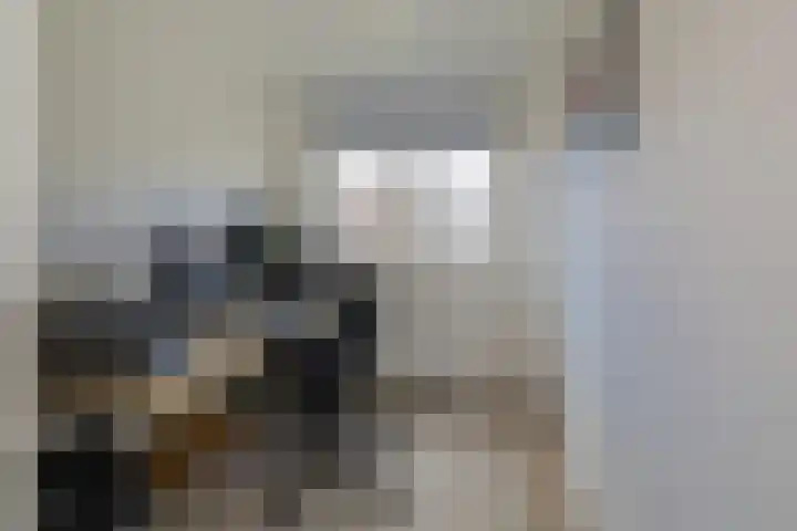 Ladderbeekstraat 114 Velsen-Noord thumbnail 34