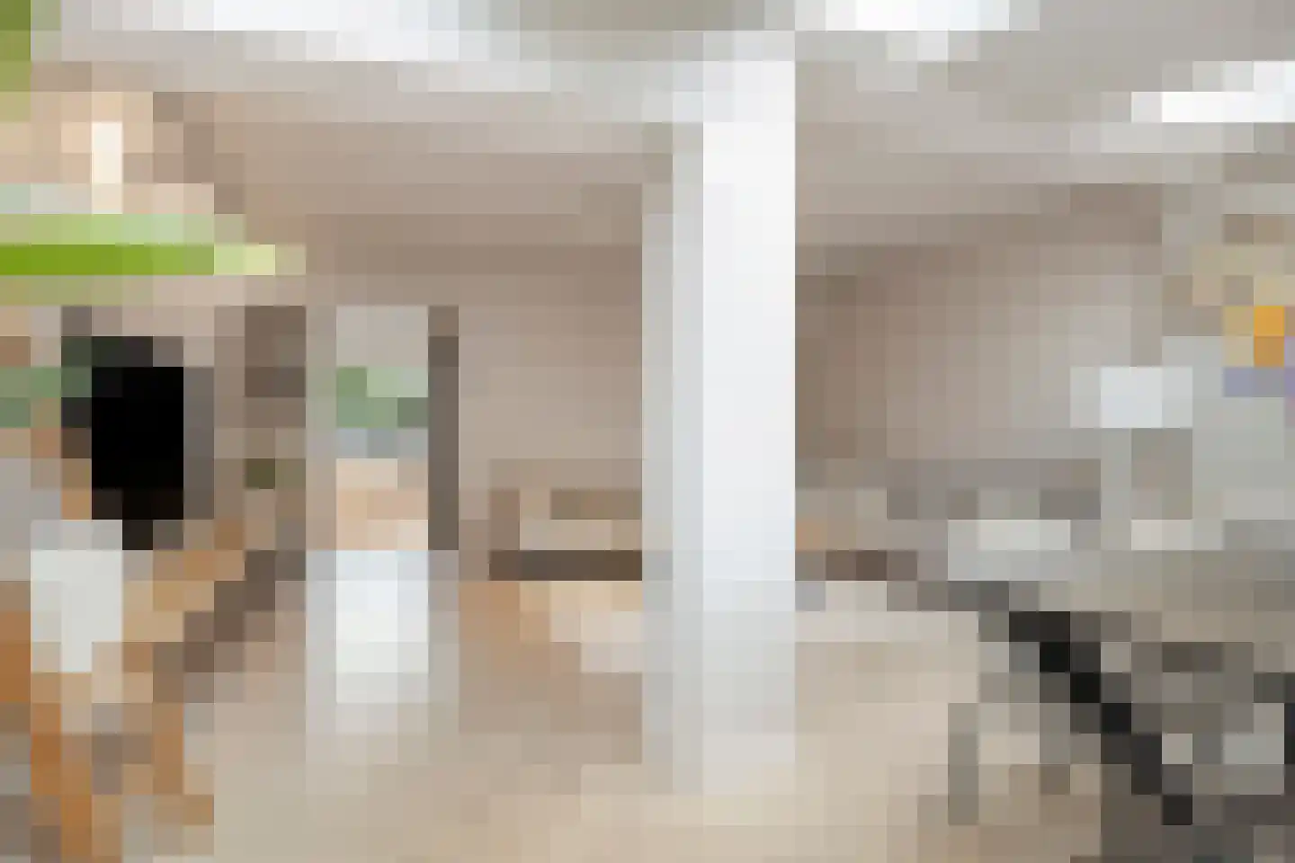 Ladderbeekstraat 119 Velsen-Noord thumbnail 8