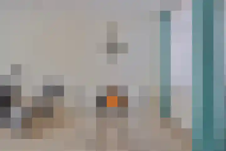 Ladderbeekstraat 25 Velsen-Noord thumbnail 10
