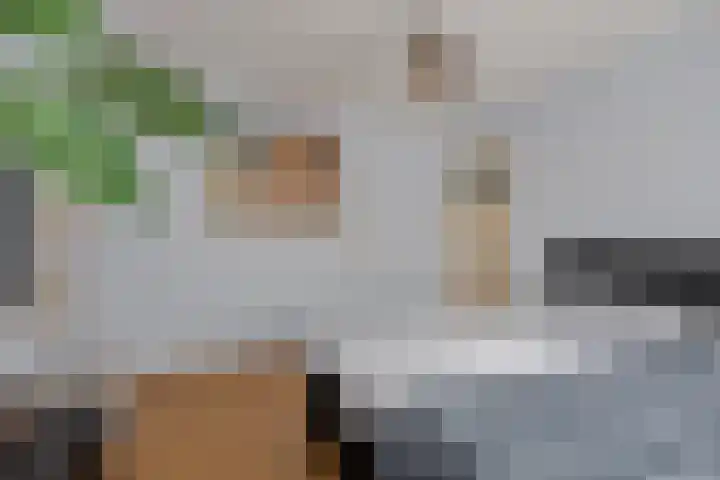 Ladderbeekstraat 25 Velsen-Noord thumbnail 15