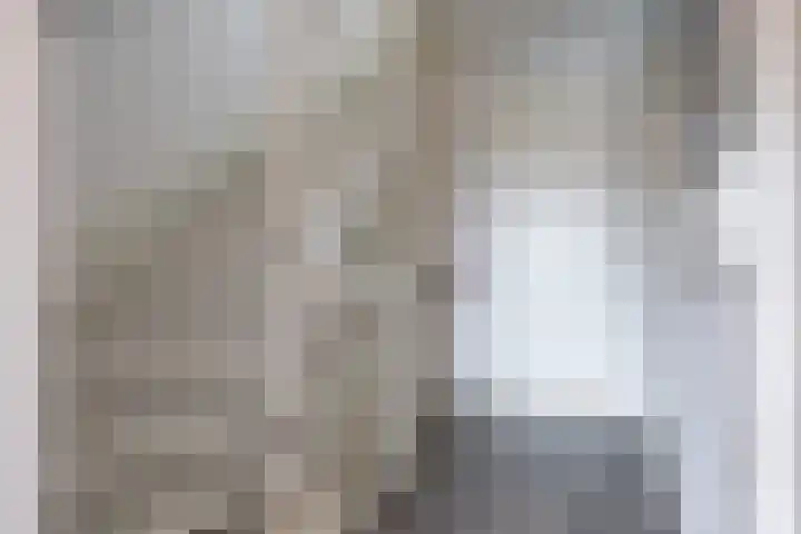 Ladderbeekstraat 30 Velsen-Noord thumbnail 34