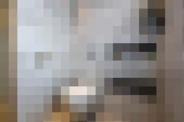 Ladderbeekstraat 30 Velsen-Noord thumbnail 43