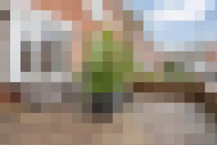 Ladderbeekstraat 30 Velsen-Noord thumbnail 59