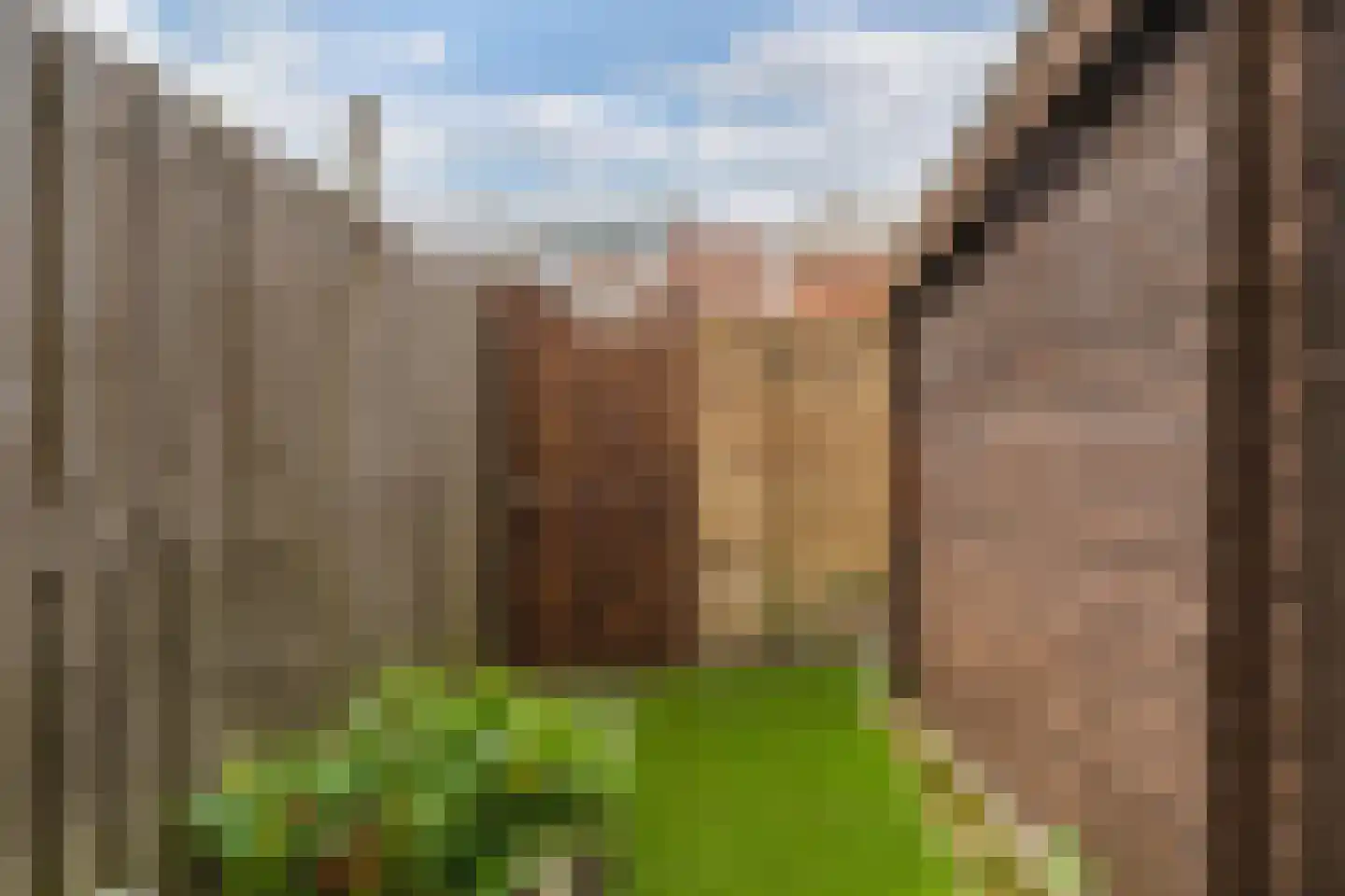 Ladderbeekstraat 33 Velsen-Noord thumbnail 32
