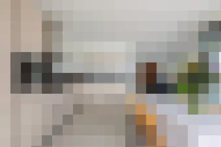 Ladogameer 26 Woerden thumbnail 14
