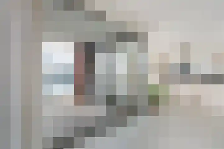 Ladogameer 26 Woerden thumbnail 15