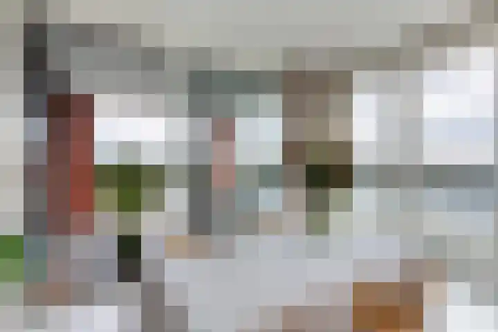 Ladogameer 26 Woerden thumbnail 20