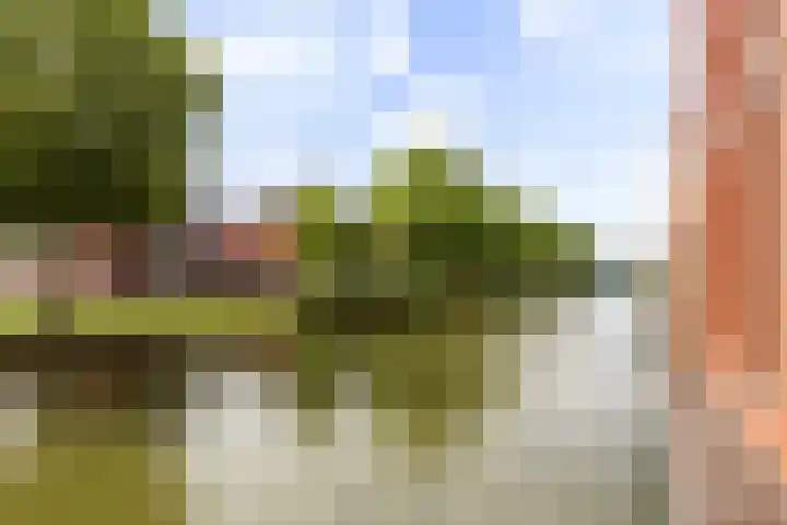 Ladogameer 26 Woerden thumbnail 40