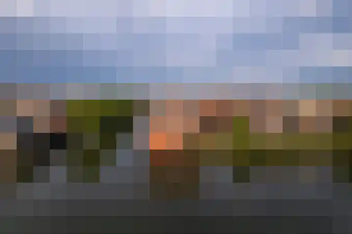 Ladogameer 26 Woerden thumbnail 42