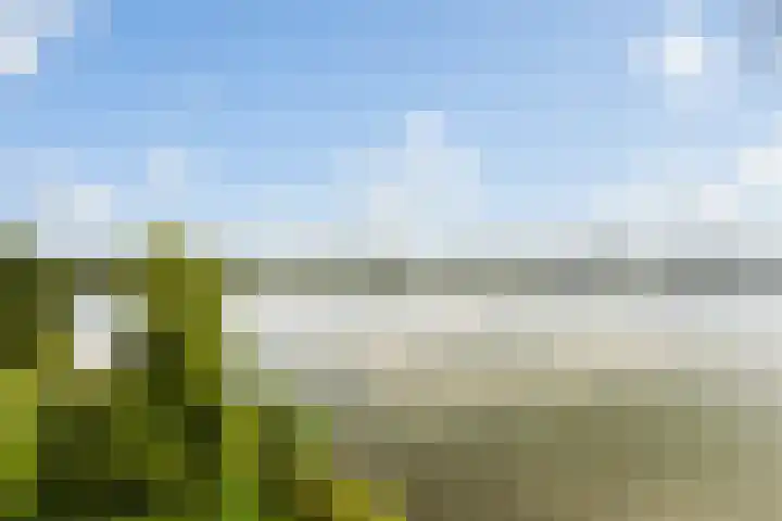 Ladogameer 26 Woerden thumbnail 44