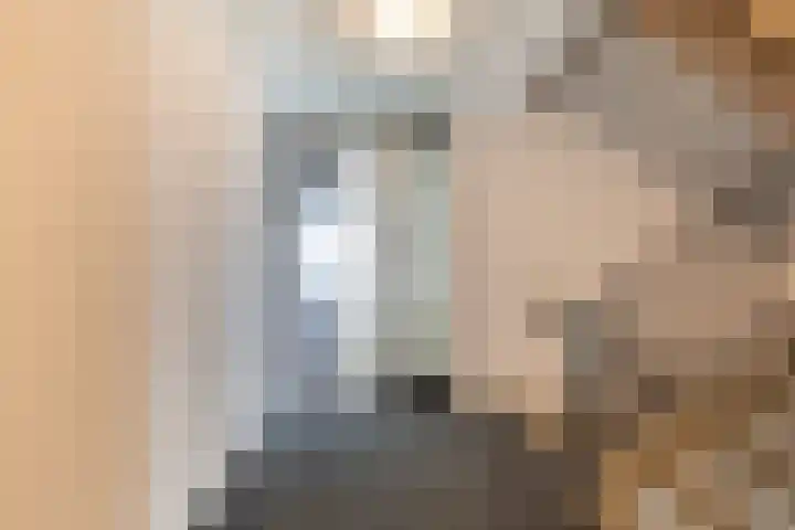 Ladogameer 26 Woerden thumbnail 8