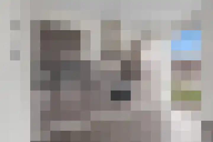 Ladogameer 79 Woerden thumbnail 15