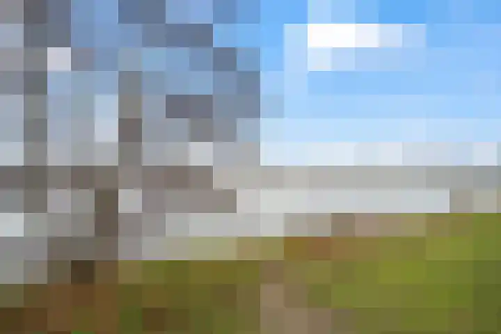 Ladogameer 79 Woerden thumbnail 26