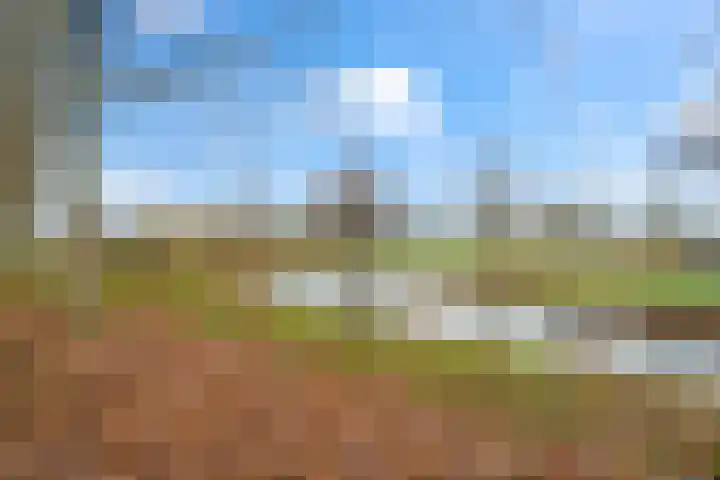 Ladogameer 79 Woerden thumbnail 27