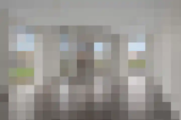 Ladogameer 79 Woerden thumbnail 9