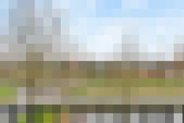 Ladogameer 87 Woerden thumbnail 13