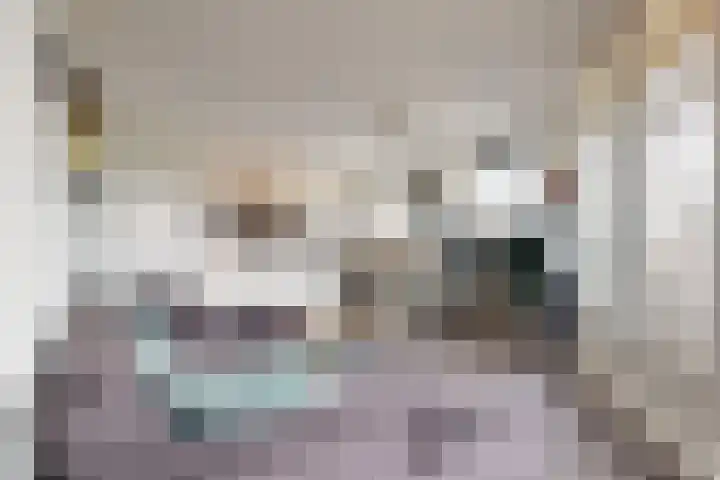Ladogameer 87 Woerden thumbnail 15