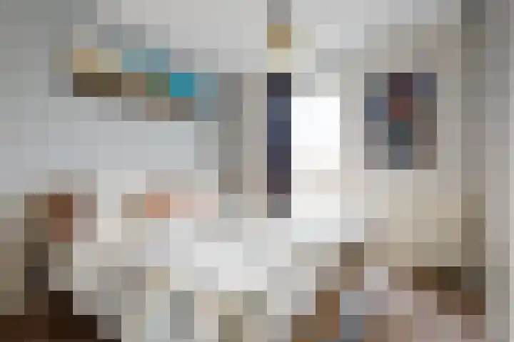 Ladogameer 87 Woerden thumbnail 19