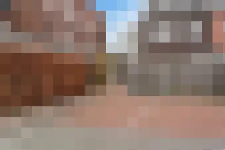 Ladogameer 87 Woerden thumbnail 27