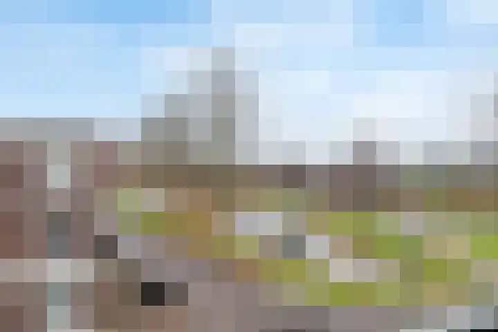 Ladogameer 87 Woerden thumbnail 31