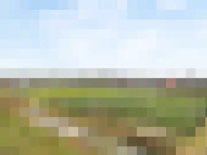 Ladogameer 87 Woerden thumbnail 33