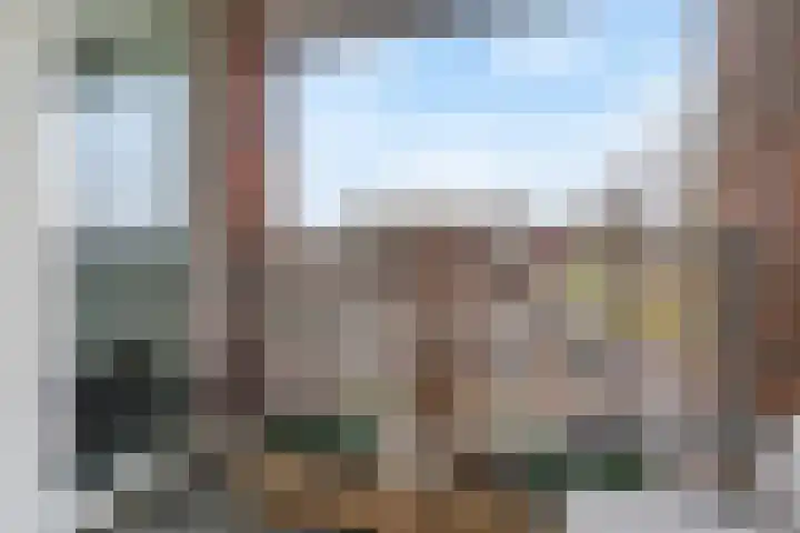 Ladogameer 87 Woerden thumbnail 4