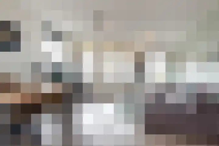 Ladogameer 87 Woerden thumbnail 8