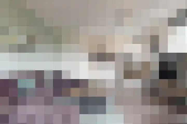 Ladogameer 87 Woerden thumbnail 9