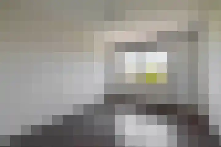 Ladogameerhof 103 Amsterdam thumbnail 10