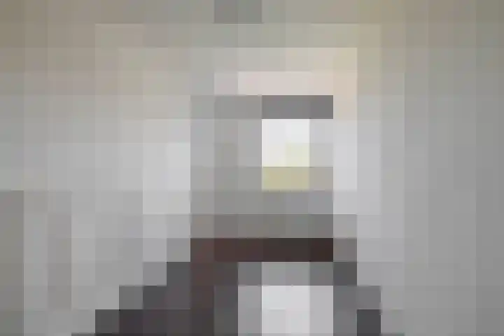 Ladogameerhof 103 Amsterdam thumbnail 12