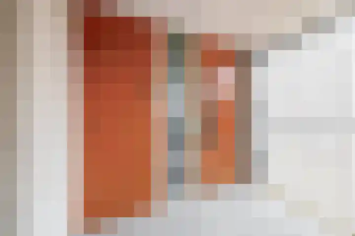 Ladogameerhof 103 Amsterdam thumbnail 18