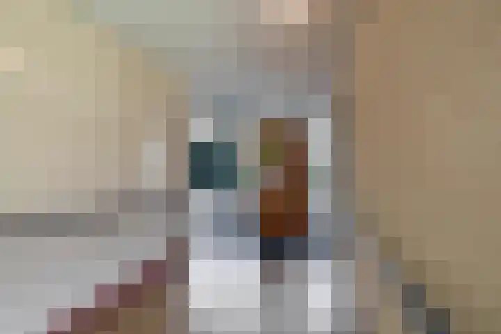 Ladogameerhof 103 Amsterdam thumbnail 19