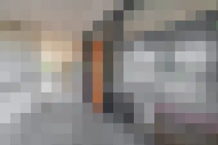 Ladogameerhof 103 Amsterdam thumbnail 20