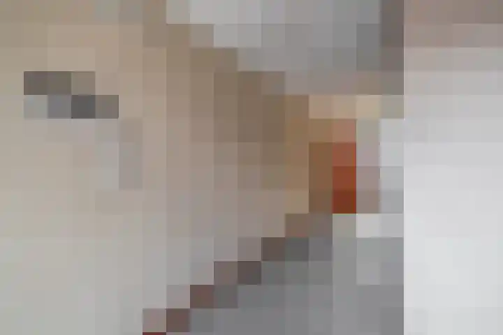 Ladogameerhof 103 Amsterdam thumbnail 21