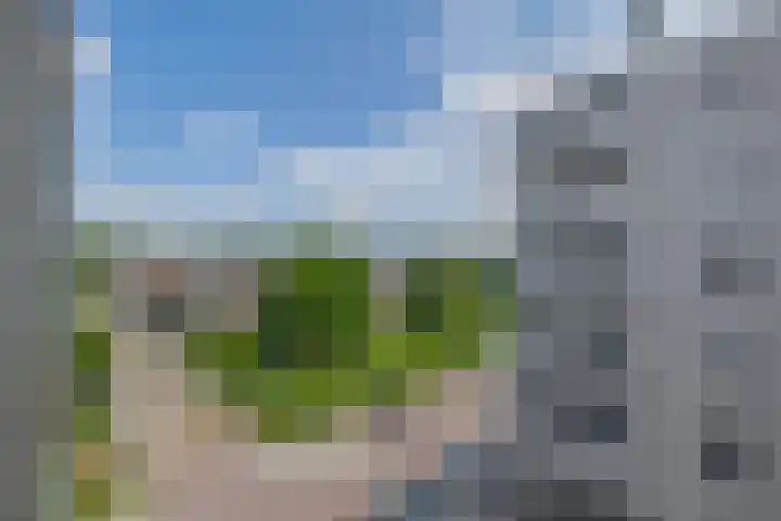 Ladogameerhof 103 Amsterdam thumbnail 24