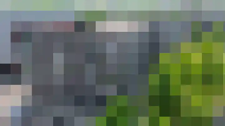 Ladogameerhof 103 Amsterdam thumbnail 27