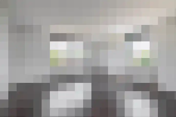 Ladogameerhof 103 Amsterdam thumbnail 5