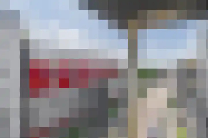 Ladogameerhof 103 Amsterdam thumbnail 8