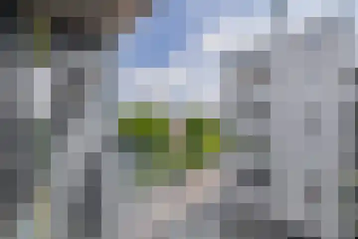 Ladogameerhof 103 Amsterdam thumbnail 9