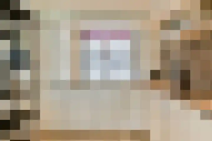 Ladogameerhof 113 Amsterdam thumbnail 11