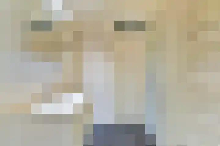 Ladogameerhof 113 Amsterdam thumbnail 14