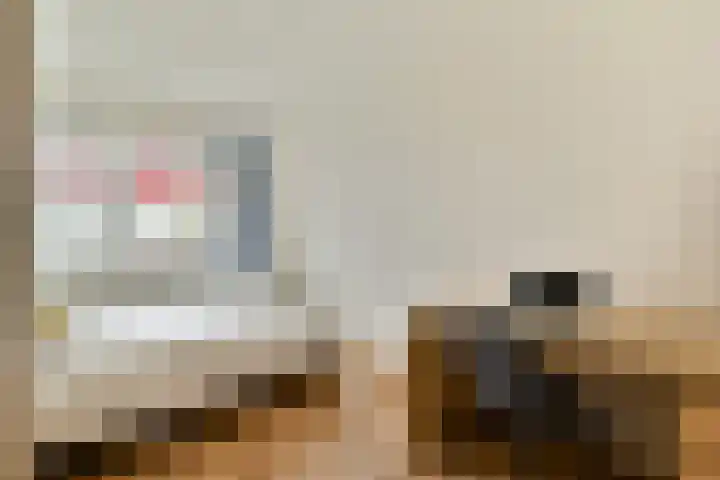 Ladogameerhof 113 Amsterdam thumbnail 18