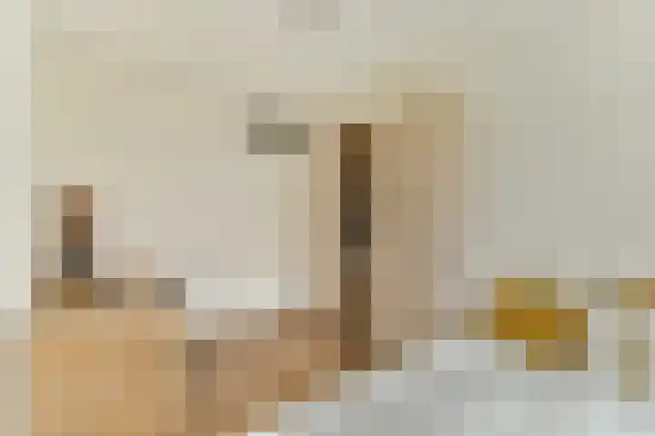 Ladogameerhof 113 Amsterdam thumbnail 19