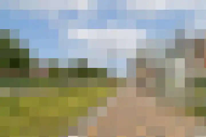 Ladogameerhof 113 Amsterdam thumbnail 25