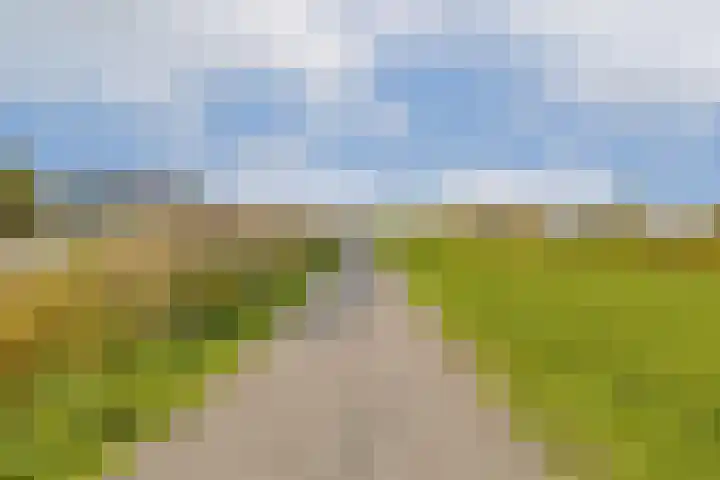 Ladogameerhof 113 Amsterdam thumbnail 26