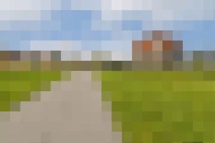 Ladogameerhof 113 Amsterdam thumbnail 27
