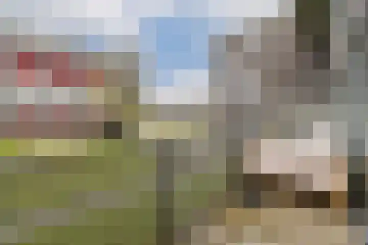 Ladogameerhof 113 Amsterdam thumbnail 9