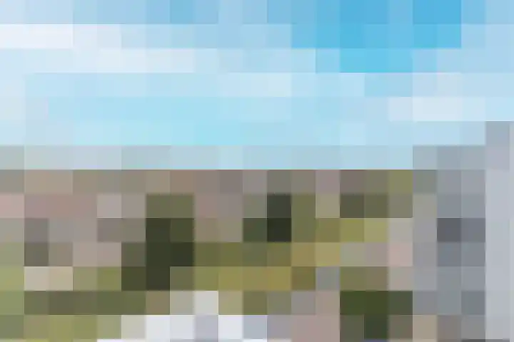 Ladogameerhof 142 Amsterdam thumbnail 11
